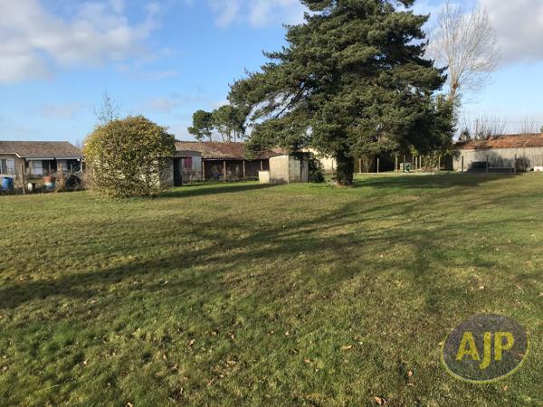 Vente terrain Lesparre Medoc : 79 000 € - AJP Lesparre Immobilier