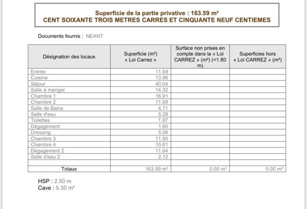 MAGNIFIQUE APPARTEMENT RENOVE IDEAL FAMILLE OU INVESTISSEUR
