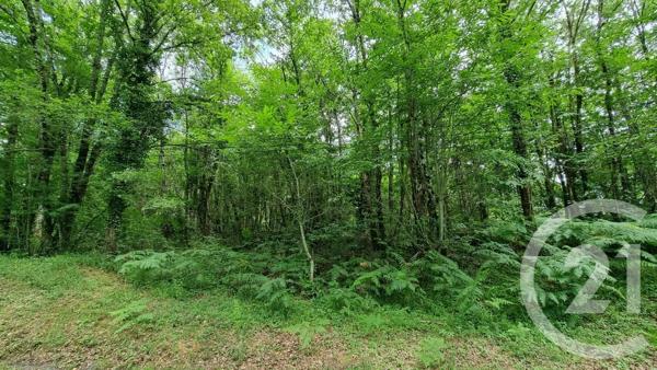 Terrain à vendre  3267 m 2   PAYRAC  - 46