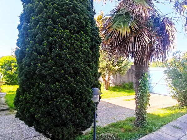 A VENDRE - ANGOULINS - Maison Familiale - Piscine - Garages - Jardin