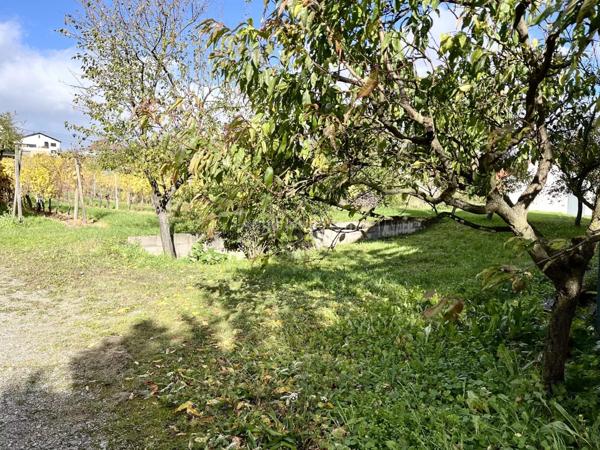 Vente Maison 6 pièces 173 m2 à Colmar