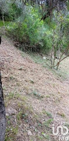 Terrain à vendre 9 300 m² Breil-sur-Roya