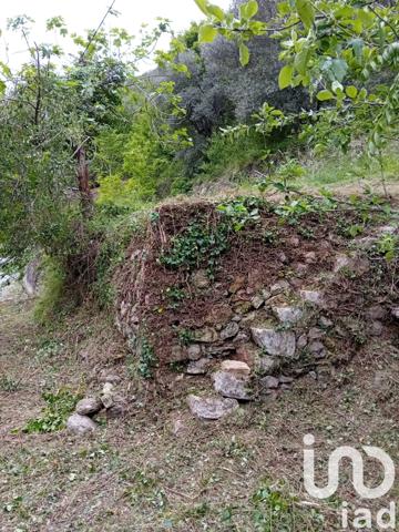 Terrain à vendre 9 300 m² Breil-sur-Roya