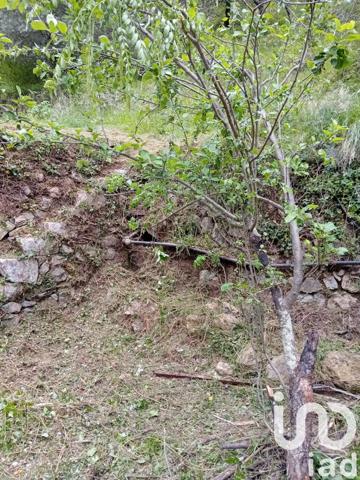 Terrain à vendre 9 300 m² Breil-sur-Roya