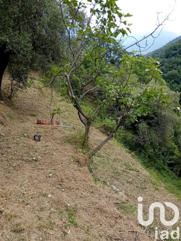 Terrain à vendre 9 300 m² Breil-sur-Roya