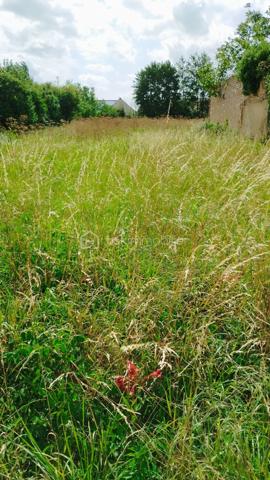 Terrain de 1 100 m²