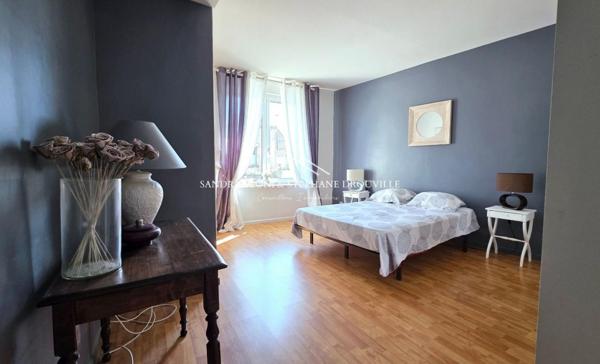 PROCHE CHARTRES - THIVARS - CHARMANTE MAISON DE VILLE de 295 m², 8 pièces