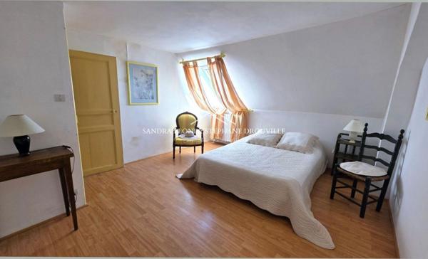 PROCHE CHARTRES - THIVARS - CHARMANTE MAISON DE VILLE de 295 m², 8 pièces