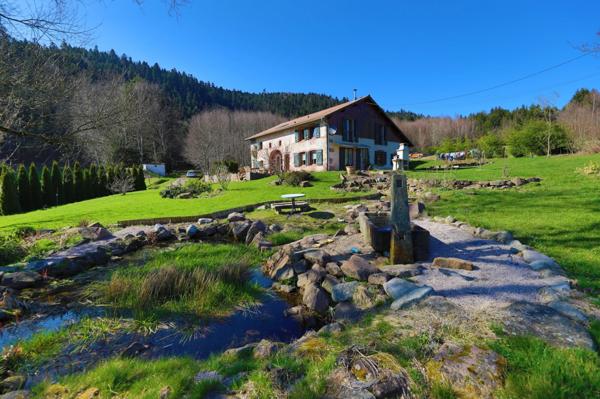 Maison à vendre 8 pièces (88)