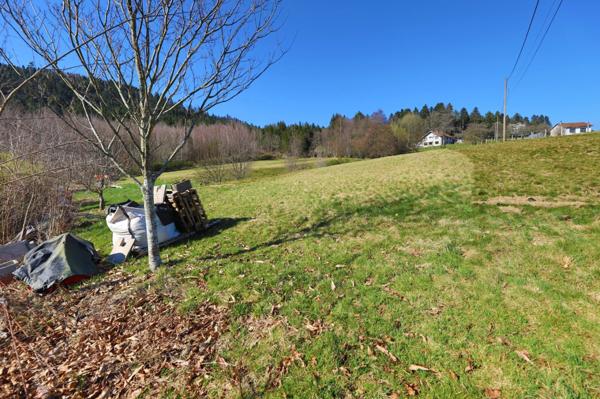 Maison à vendre 8 pièces (88)
