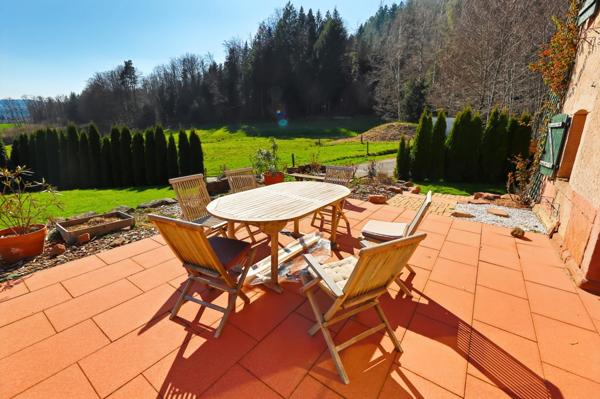 Maison à vendre 8 pièces (88)