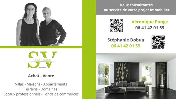 Maison 33 pièces - 1000 m² Bien prestige