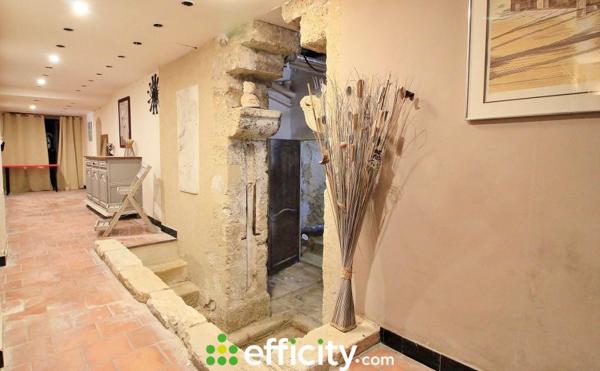 Maison 33 pièces - 1000 m² Bien prestige