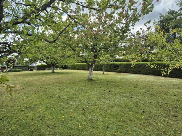Terrain à Batir à vendre à Chaumousey dans les Vosges (88390), ref : 1204/0825-88038