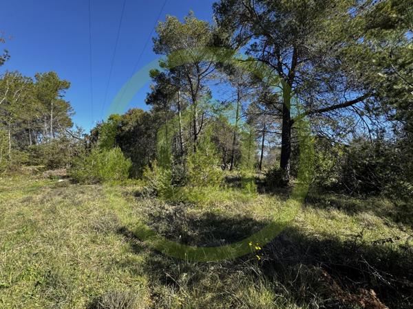 Terrain agricole à SAINT PAUL EN FORET (83440)