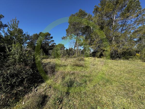 Terrain agricole à SAINT PAUL EN FORET (83440)