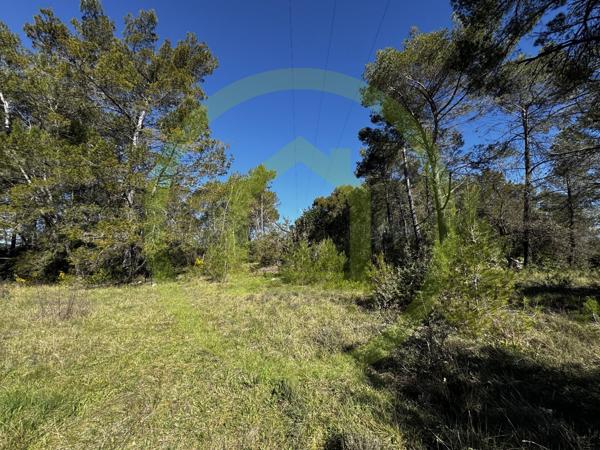Terrain agricole à SAINT PAUL EN FORET (83440)