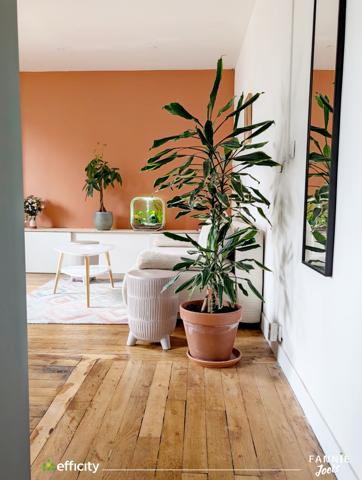 Appartement 2 pièces - 41 m² Exclusivité efficity