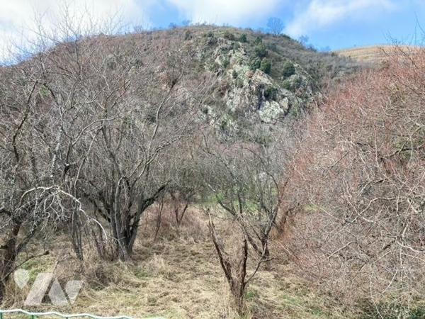 grand terrain