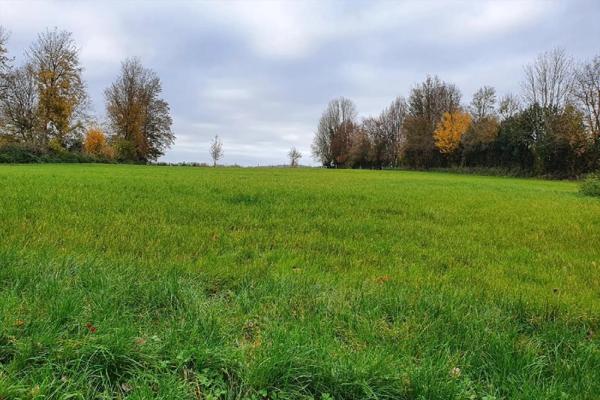 Terrain à vendre Humières (62130)