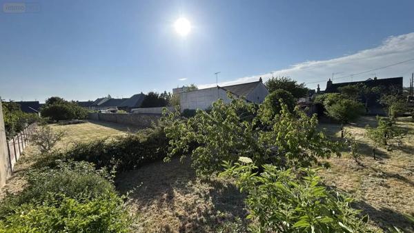 Achat - Terrain à bâtir Château-Gontier-sur-Mayenne 53200 2 pièces 1429 m 2 1429 m 2