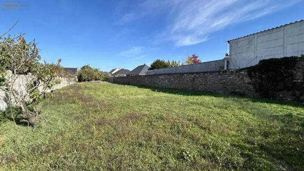 Achat - Terrain à bâtir Château-Gontier-sur-Mayenne 53200 2 pièces 1429 m 2 1429 m 2