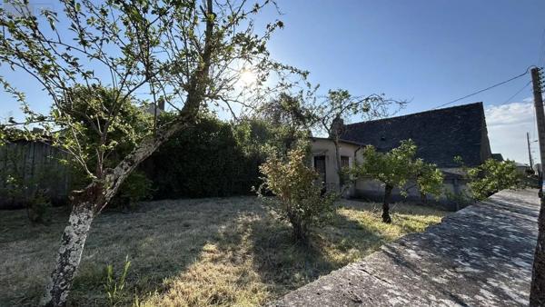 Achat - Terrain à bâtir Château-Gontier-sur-Mayenne 53200 2 pièces 1429 m 2 1429 m 2