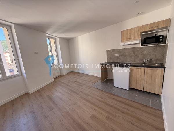 Appartement
                                                                                                                                                                                                                                                                                                                        2 pièce(s)                                                                                                                                                                                                          1 chambre(s)                                                                                                                                                                                                          31  m²