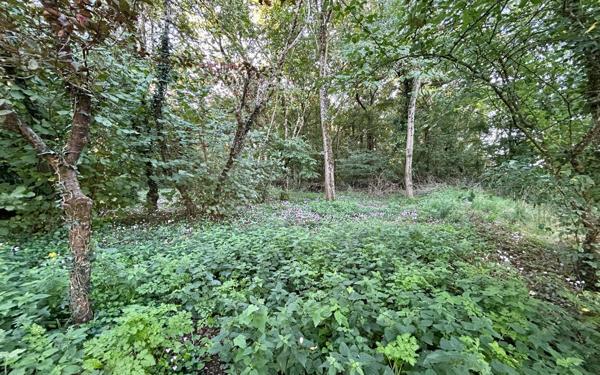 Maison à vendre    5 pièces •  Bonneuil-Matours