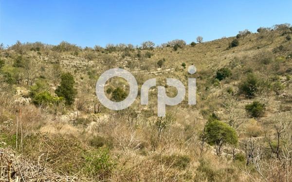 Terrain à vendre    Ruoms