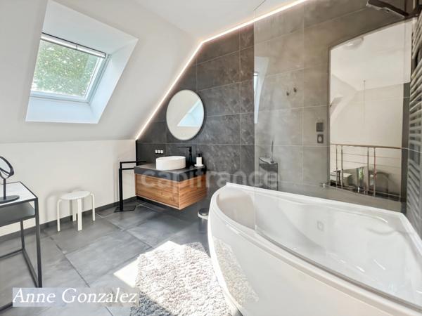 OLIVET à dix minutes d'Orleans, à vendre superbe Villa d'Architecte édifiée sur un jardin clos et arboré avec dépendance et garage attenant