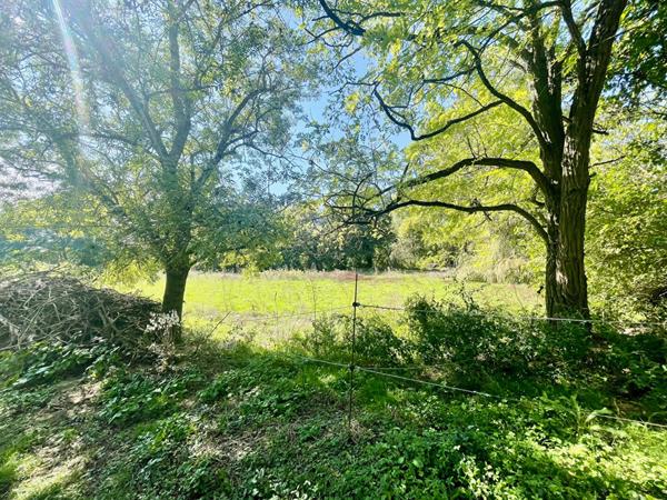 Maison 6 pièce(s) 147 m² 4 chambres + bureau, avec garages et dépendances sur terrain cloturé et paysagé de 16 000 m²