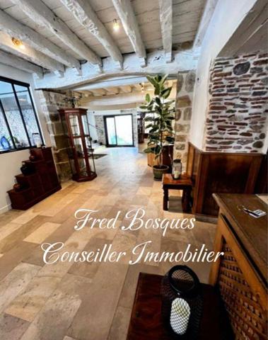 Maison de caractère Mirepoix 11 pièce(s) 400m2