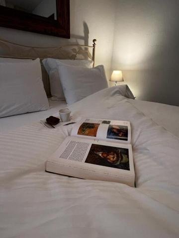 Maison de caractère Mirepoix 11 pièce(s) 400m2