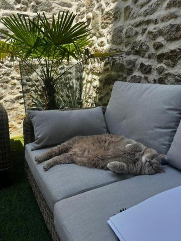 Maison de caractère Mirepoix 11 pièce(s) 400m2