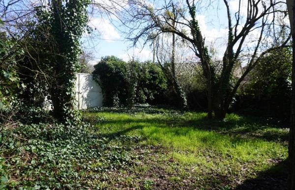 Terrain Verdoyant de 438 m²