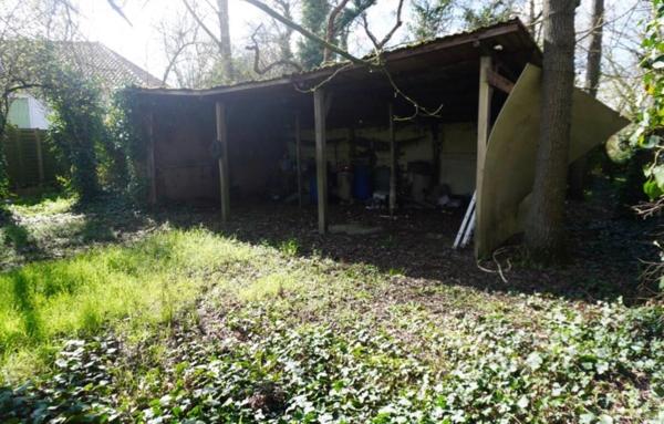 Terrain Verdoyant de 438 m²