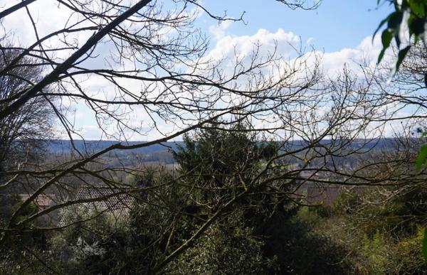 Terrain Verdoyant de 438 m²