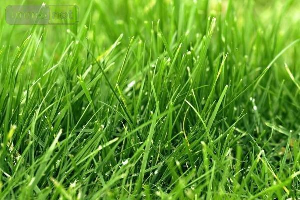 Terrain à Batir à vendre à Beugny dans le Pas-de-Calais (62124), ref : 59079-1233