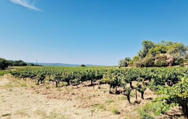 Vente Propriété Viticole Goudargues   