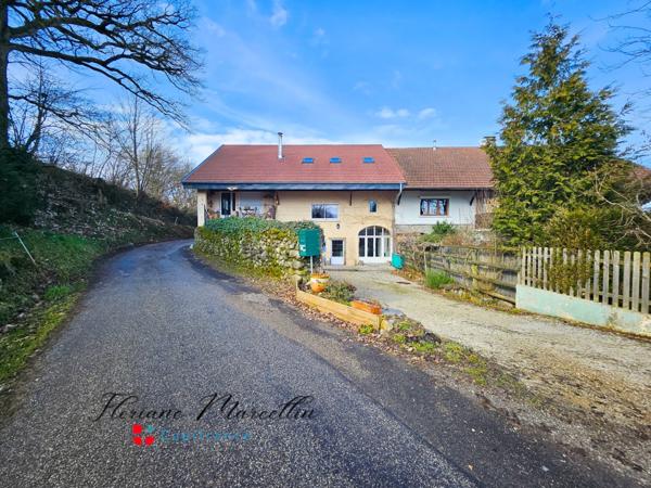 APPARTEMENT, TYPE MAISON, JARDIN PRIVATIF, CELLIER, PARKING, PERS-JUSSY, COUR PRIVATIVE,