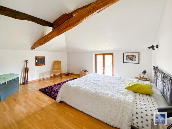 Achat maison Montauban - 7 pièce(s) - 300 m² - 550 000 €