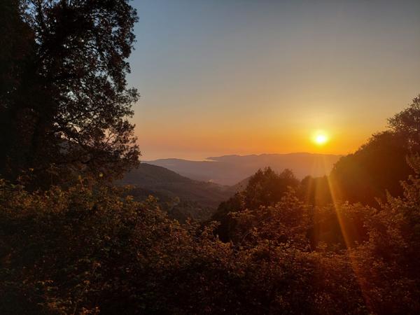 Maison 3 pièces - 43 m²