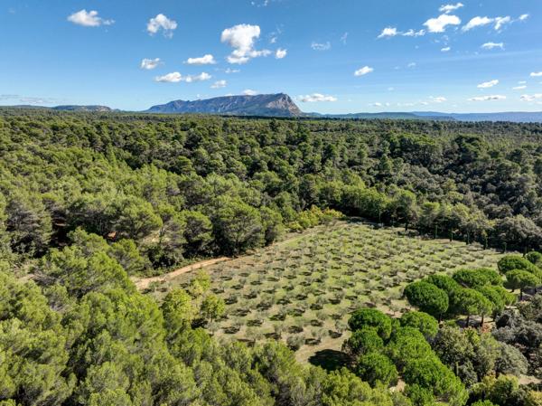 Vente Maison de luxe Aix-en-Provence 16 Pièces 500 m²