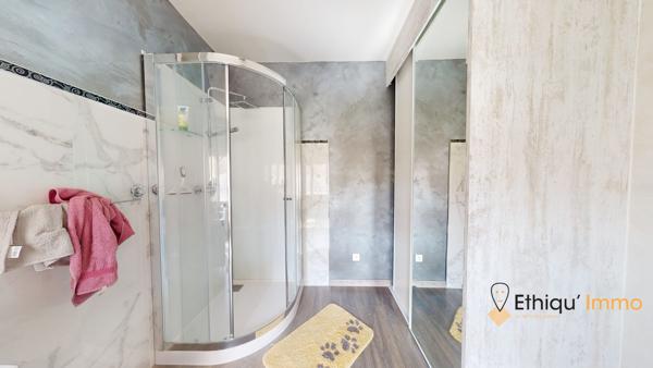 maison de maître 270 m2  plein coeur de bar-sur-aube grange terrasse cour intérieure