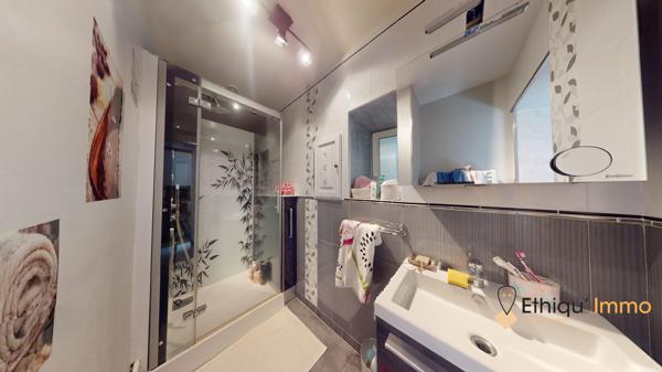 maison de maître 270 m2  plein coeur de bar-sur-aube grange terrasse cour intérieure
