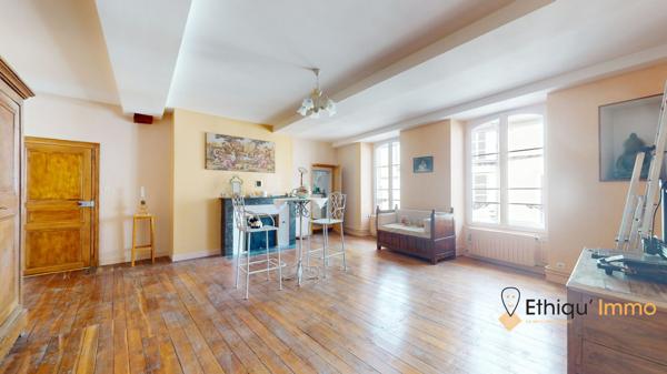maison de maître 270 m2  plein coeur de bar-sur-aube grange terrasse cour intérieure