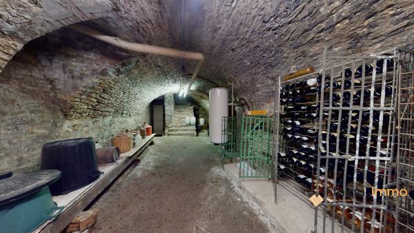 maison de maître 270 m2  plein coeur de bar-sur-aube grange terrasse cour intérieure