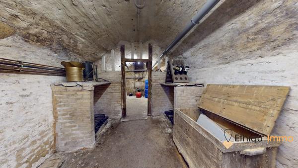 maison de maître 270 m2  plein coeur de bar-sur-aube grange terrasse cour intérieure