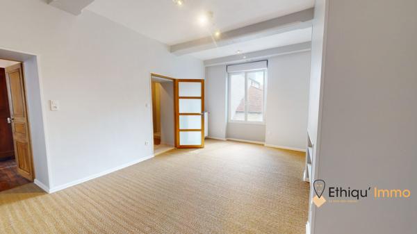 maison de maître 270 m2  plein coeur de bar-sur-aube grange terrasse cour intérieure